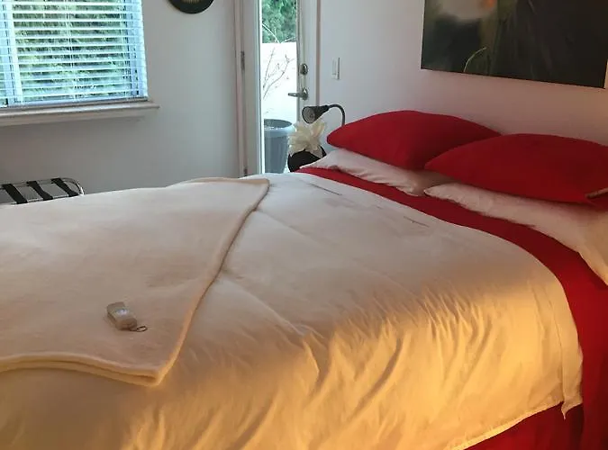 A Room At The Camelia Bed And Breakfast